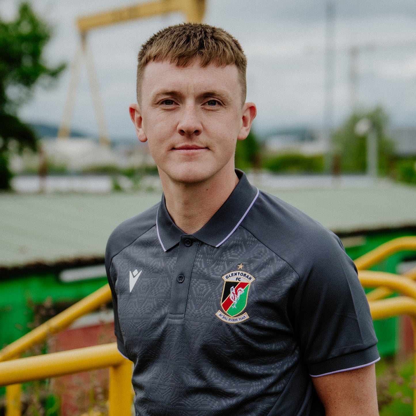 Glentoran Macron Travel Polo Anthracite/Lilac - Adults