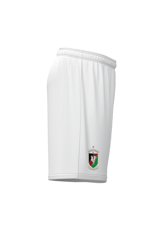 25/26 Glentoran Macron Home Short - Adult